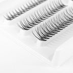 Florian Ferino - Single Lashes - | Mixbox | 8 / 10 /12 mm